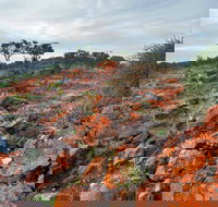 Western Ridge Walk - Accommodation Southport