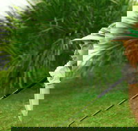 Whitsunday Green Club Golf - Accommodation Southport