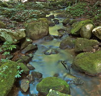Whian Whian State Conservation Area - Southport Accommodation