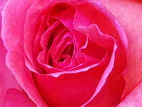 Abandon Stress Mobile Massage - Accommodation Southport 0