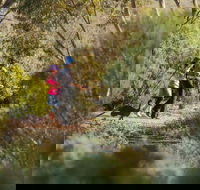 Australian Arid Lands Botanic Garden - Southport Accommodation