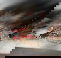 Australian Fly Fishing Museum - Accommodation Southport