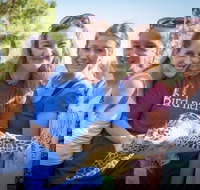 Australian Seabird Rescue - Accommodation Southport