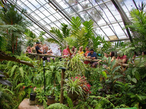 Australian Butterfly Sanctuary - Southport Accommodation 2