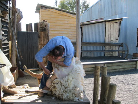 Boggy Creek Show - Southport Accommodation 2