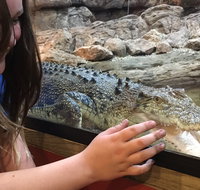 Canberra Reptile Zoo - Southport Accommodation