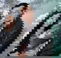 Cleland Wildlife Park - Koala Hold - Accommodation Southport