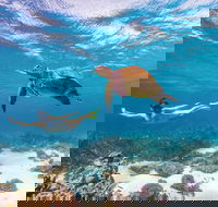 Coral Bay - Southport Accommodation