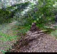 Double Wharf Trail - Southport Accommodation