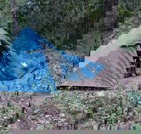 England Creek Bush Camp - Southport Accommodation