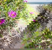 Fort Bribie - Accommodation Southport