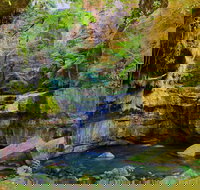 Glimpse of the Outback 5 Day Tour - Roma and Surrounds - Southport Accommodation