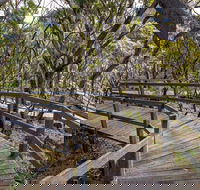 Governor Summit Corrunbral Borawah Walking Track - Accommodation Southport