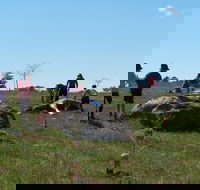 Jim Salmon  Wetland Education Site - Accommodation Southport