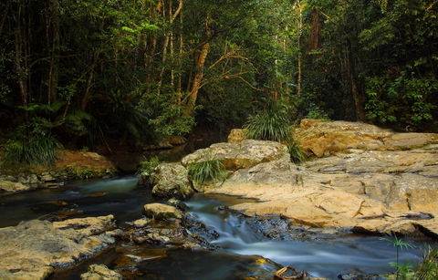 Jumrum Creek Walk, Jumrum Creek Conservation Park - Southport Accommodation 0