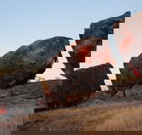 Kooyoora State Park - Southport Accommodation