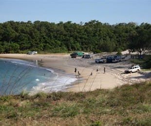 Little Bondi Beach - Southport Accommodation 2