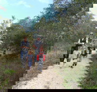 Meningie Lions Walking Trail - Accommodation Southport