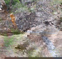 Mill-bullah Walking Track - Accommodation Southport