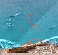 Nullarbor National Park - Southport Accommodation