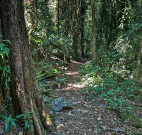 Pholis Gap Walking Track - Southport Accommodation