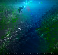 Piccaninnie Ponds Conservation Park - Southport Accommodation