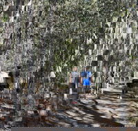 Six Mile Creek Bluff Lookout and Little White Rock Trails - Accommodation Southport