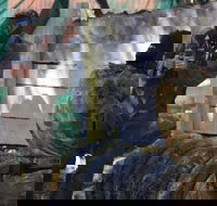 Skirmish Sunshine Coast Outdoor Paintball - Accommodation Southport