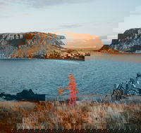 The Nut - Accommodation Southport