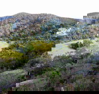 The Bellbird - Southport Accommodation