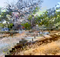 Timber Creek - Accommodation Southport