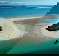 Turtle Discovery - Accommodation Southport