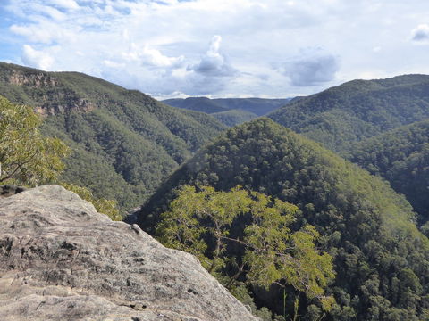 Vale Of Avoca - Southport Accommodation 0