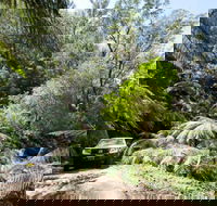 Wadbilliga Road drive - Accommodation Southport