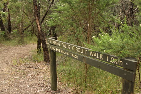 Waterfall Gully - Kings Falls Circuit Walk - Southport Accommodation 0