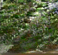 Way Way Creek Road Drive - Southport Accommodation