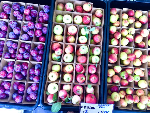 Adelaide Showground Farmers' Market - Southport Accommodation 0