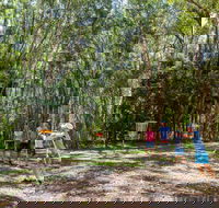 Ballina Disc Golf - Southport Accommodation