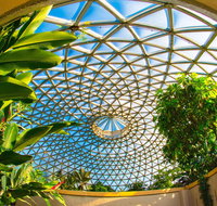 Brisbane Botanic Gardens Mount Coot-tha - Southport Accommodation