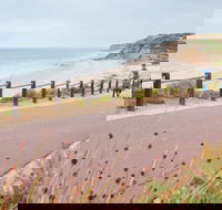 Coast to Vines Rail Trail - Southport Accommodation