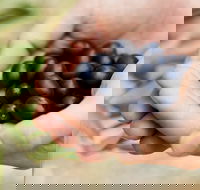 Eat Pick Grow Trail - Wanneroo and Chittering - Accommodation Southport