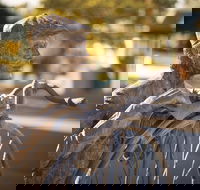 Evandale - Accommodation Southport