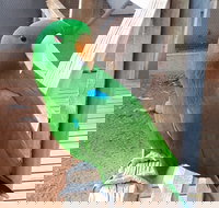 Eyre Reptile  Wildlife Park - Accommodation Southport