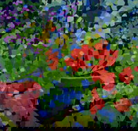 Ferry Artists Gallery - Accommodation Southport