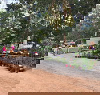 Fred's Pass Rural Market - Southport Accommodation