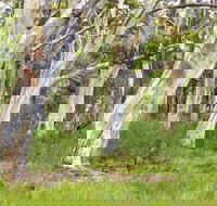 Freshwater track - Southport Accommodation