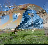 Greenough Leaning Trees - Accommodation Southport