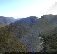 Guy Fawkes River National Park - Southport Accommodation