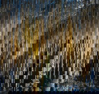 Hastings Caves and Thermal Springs - Accommodation Southport