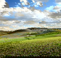 Hodgson Vale - Southport Accommodation